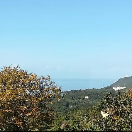 Ferluga 4*