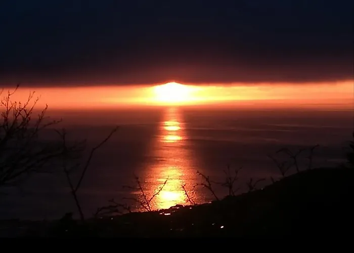 Bed and Breakfast Ferluga 4*